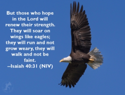 eagle verse